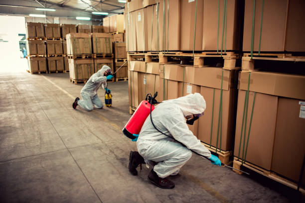 Best Wasp Removal Services  in Arlington, TX