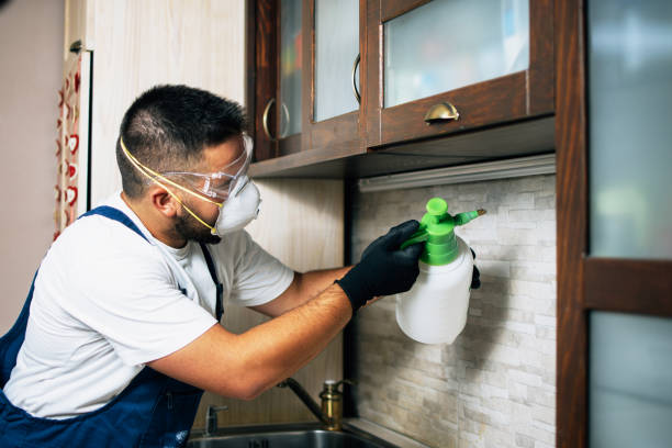Best Exterminator Services  in Arlington, TX