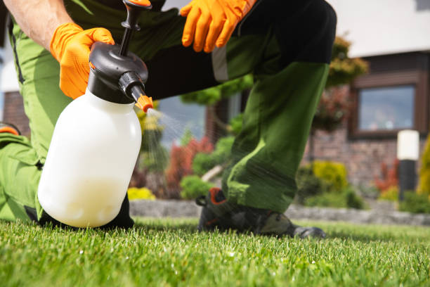 Best Rat Extermination Near Me  in Arlington, TX