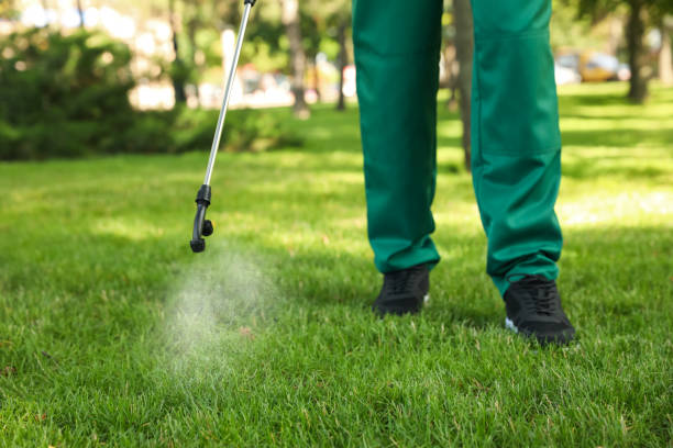 Best Pest Prevention Services  in Arlington, TX