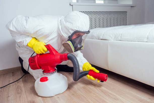 Professional Pest Control in Arlington, TX