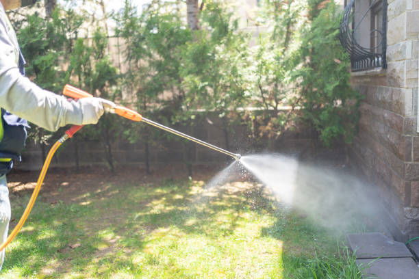 Best Wildlife Control Services  in Arlington, TX