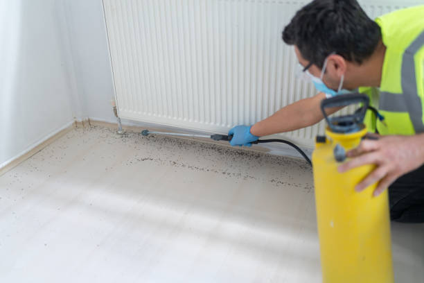 Best Best Pest Control Companies  in Arlington, TX