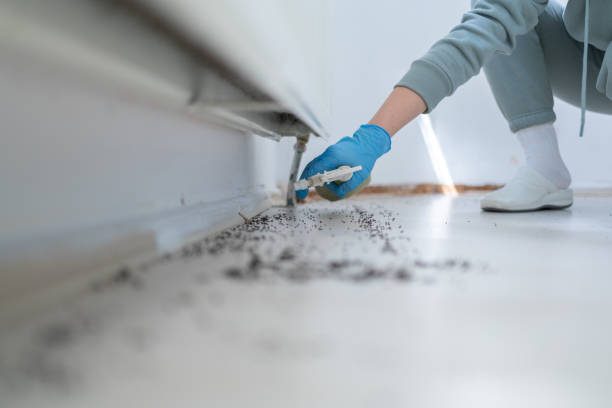 Best Emergency Pest Control  in Arlington, TX