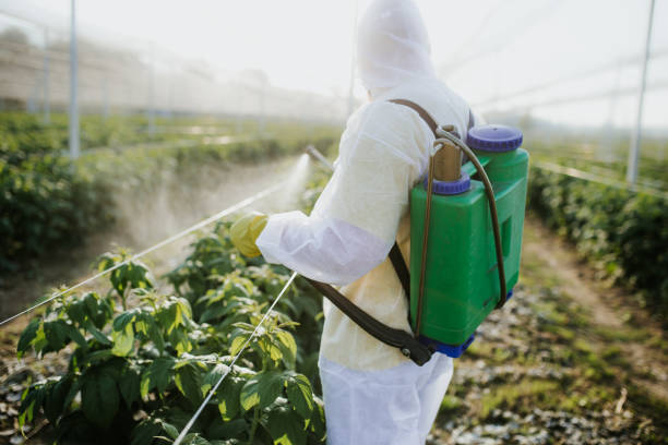 Best Cockroach Control Services  in Arlington, TX
